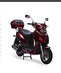 50cc Sports Scooter